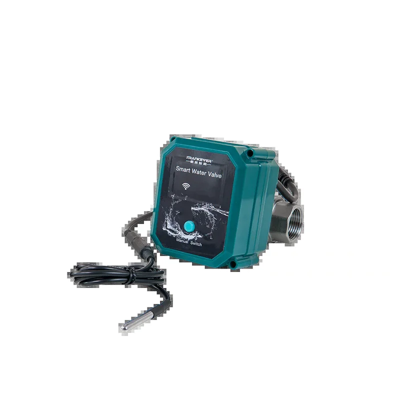 FrankEver Smart water valve DN15