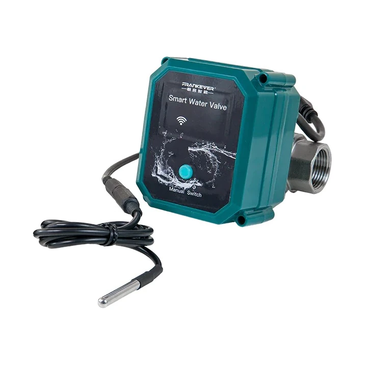 FrankEver Smart water valve DN15